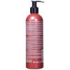 imageCHI Color Illuminate Shampoo Provides Balanced Color Replenishment Between Salon Services Sulfate Paraben ampamp CrueltyFree Silver Blonde 25 OzRed Auburn