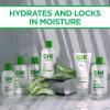 imageCHI Naturals with Aloe Vera Hydrating Lotion Hydrates ampamp Locks In Moisture For Radiant ampamp Silky Skin Sulfate Paraben ampamp CrueltyFree 12 Oz