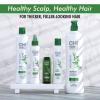 imageCHI Powerplus Scalp Renew System Exfoliate Shampoo 32 Fl Oz12 Fl Oz Pack of 1
